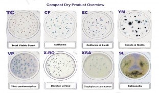 Compact_dry_Microbiological_plates.jpg
