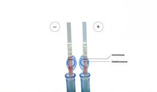 Food allergen test coconut Food allergen test strip.jpg