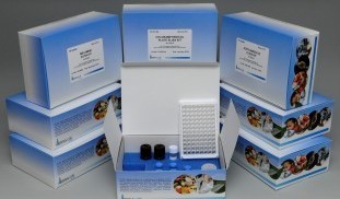 Antibiotics Elisa Test Kits.jpg