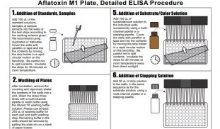 Aflatoxin M1 Elisa Kit.jpg