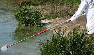 environmental sampler TeleScoop SS TeleScoopPendulum.jpeg