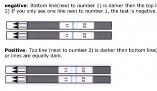 Atrazine test strip Atrazine test strip.jpg