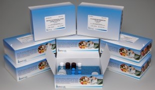 Algal toxin ELISA test Eurofins Abraxis.jpg