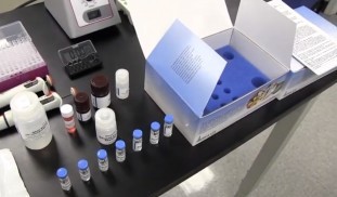glyphosate ELISA quantitative test kit 500086.jpg