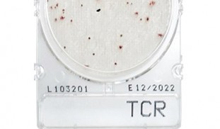 Compact Dry TCR Compact Dry TCR.jpg