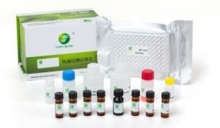 Beta Agonist_elisa_test_kit_96_wells_kit lsy_10036_agonist_elisa_test_kit_96_wells_kit.jpg