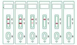 Lsybt Strip Results.png