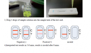 Pesticide Herbicides Agrichemical Rapid Test FSt Pesticide Herbicides Test CG p2.png