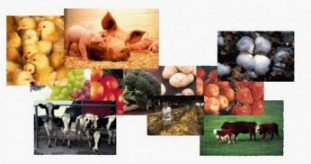 การจัดการอาหารปลอดภัย Food Safety Management Food_Safety_Test_Validation.JPG