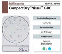 Compact Dry x-BC.jpg