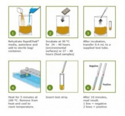 RapidChek_FoodPathogen.jpg