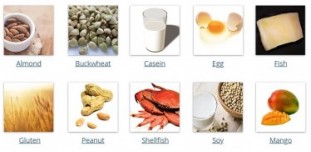 food allergen test Regabio food allergen strip test kits.jpg