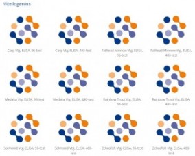 vitellogenins test.jpg