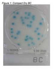 compact dry BC compact dry BC EXP 04_2021.jpg