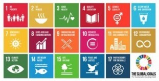 17 goals SDGs.jpeg