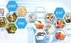 Quicking Biotech Test Strips for food safety